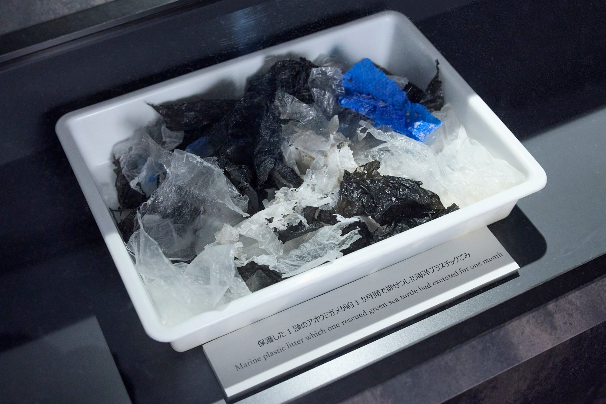 zojirushi_kaiyukan_2023_3_30_0573_a.jpg