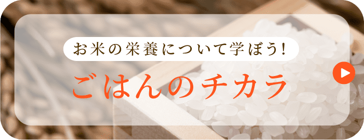 お米の栄養について学ぼう！ごはんのチカラ