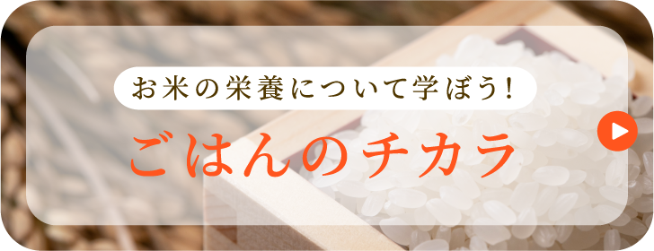 お米の栄養について学ぼう！ごはんのチカラ