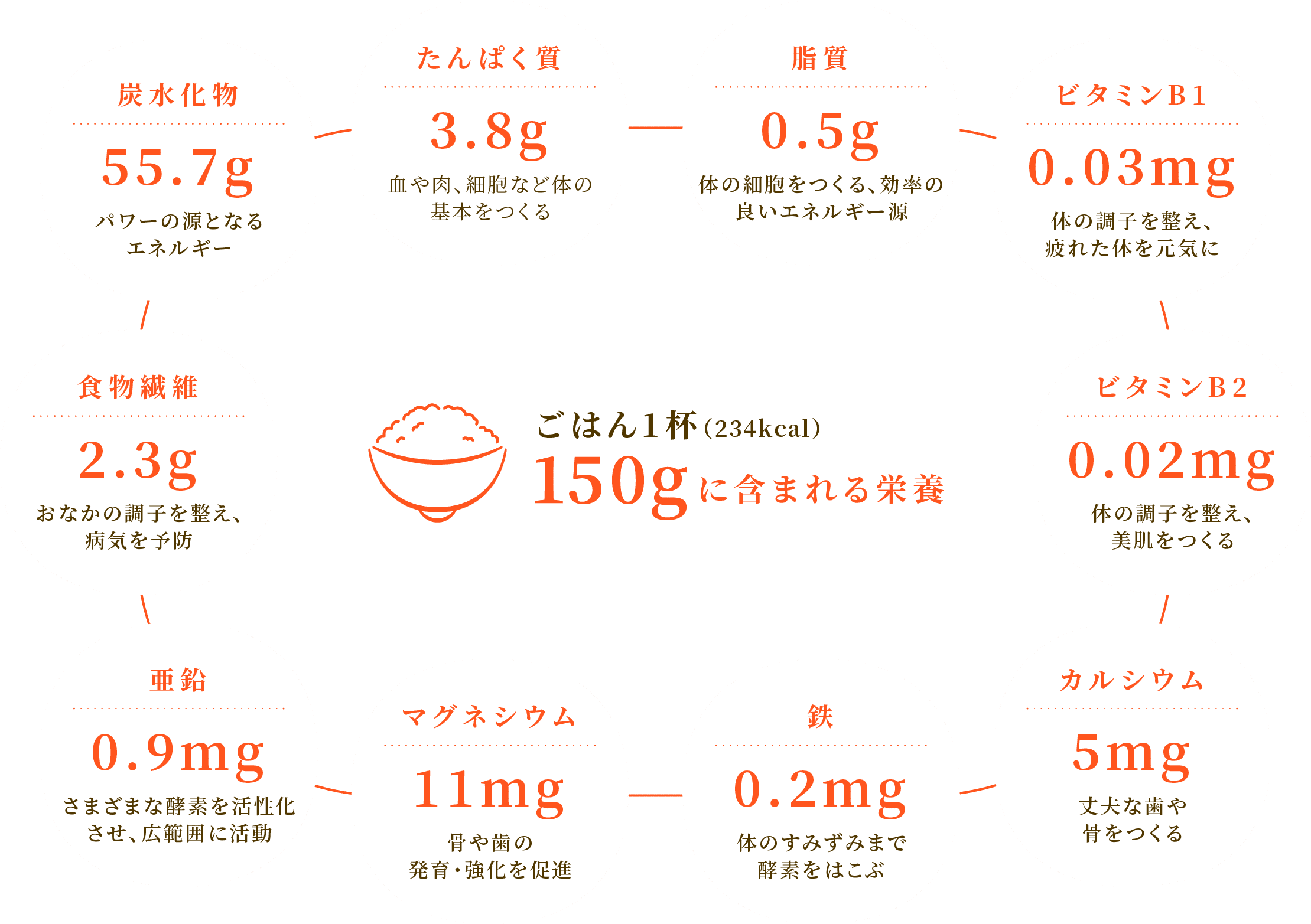 ごはん1杯（234kcal）150gに含まれる栄養  炭水化物 55.7g パワーの源となる
							エネルギー  たんぱく質 3.8g 血や肉、細胞など体の
							基本をつくる  脂質 0.5g 体の細胞をつくる、効率の
							良いエネルギー源  ビタミンB1 0.03mg 体の調子を整え、
							疲れた体を元気に  ビタミンB2 0.02mg 体の調子を整え、
							美肌をつくる  カルシウム 5mg 丈夫な歯や
							骨をつくる  鉄 0.2mg 体のすみずみまで
							酵素をはこぶ  マグネシウム 11mg 骨や歯の
							発育・強化を促進  亜鉛 0.9mg さまざまな酵素を活性化
							させ、広範囲に活動  食物繊維 2.3g おなかの調子を整え、
							病気を予防