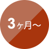 3ヶ月から