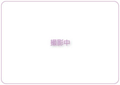 ハンガリー風炊き込みご飯盛りつけ例