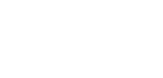 11.5日