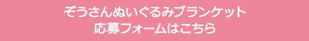 ぞうさんぬいぐるみブランケット応募フォームはこちら