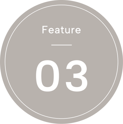 Feature03