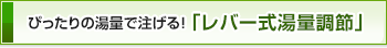 ぴったりの湯量で注げる！「レバー式湯量調節」