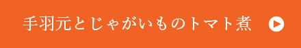 手羽元とじゃがいものトマト煮