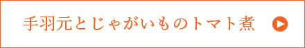 手羽元とじゃがいものトマト煮