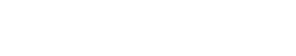 毎日の料理が楽しくなる　デイリーコンパクトプレート