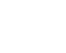 Lunch × Every Day