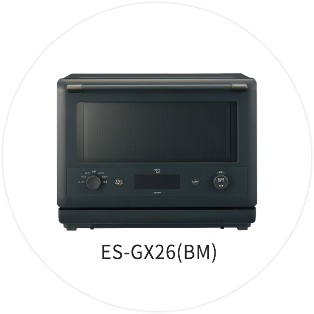 ES-GX26(BM)