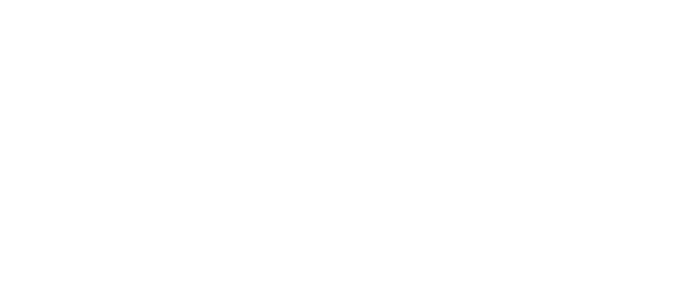 USER'S VOICE