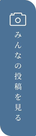 みんなの投稿を見る