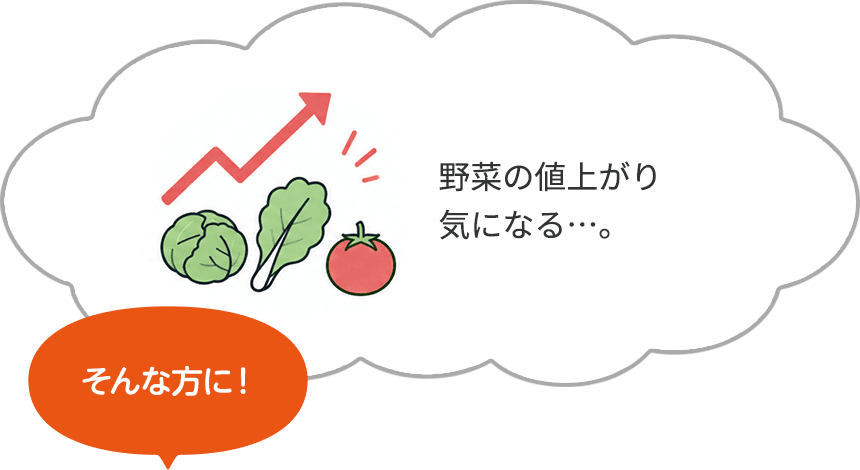 野菜の値上がり気になる…。そんな方に!