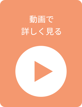 動画で詳しく見る