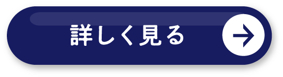 詳しく見る