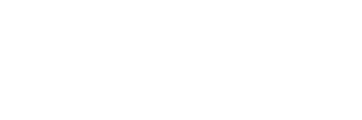 豪炎大火力とは