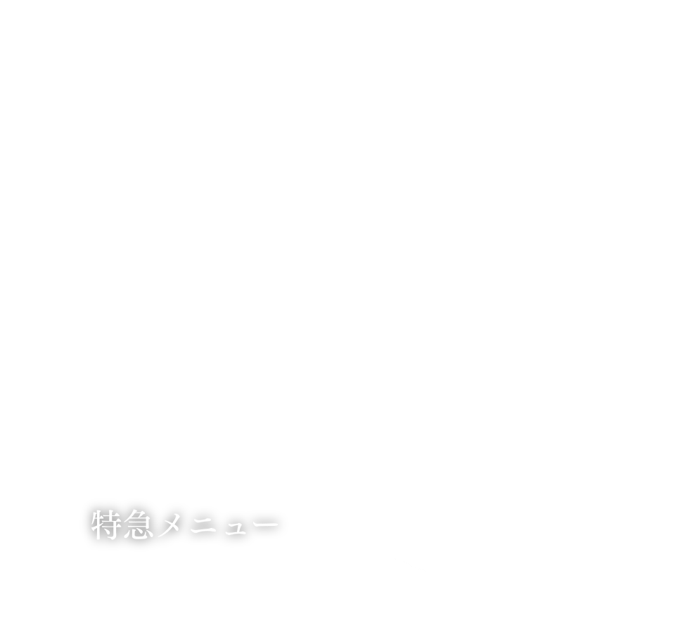 白米特急メニュー