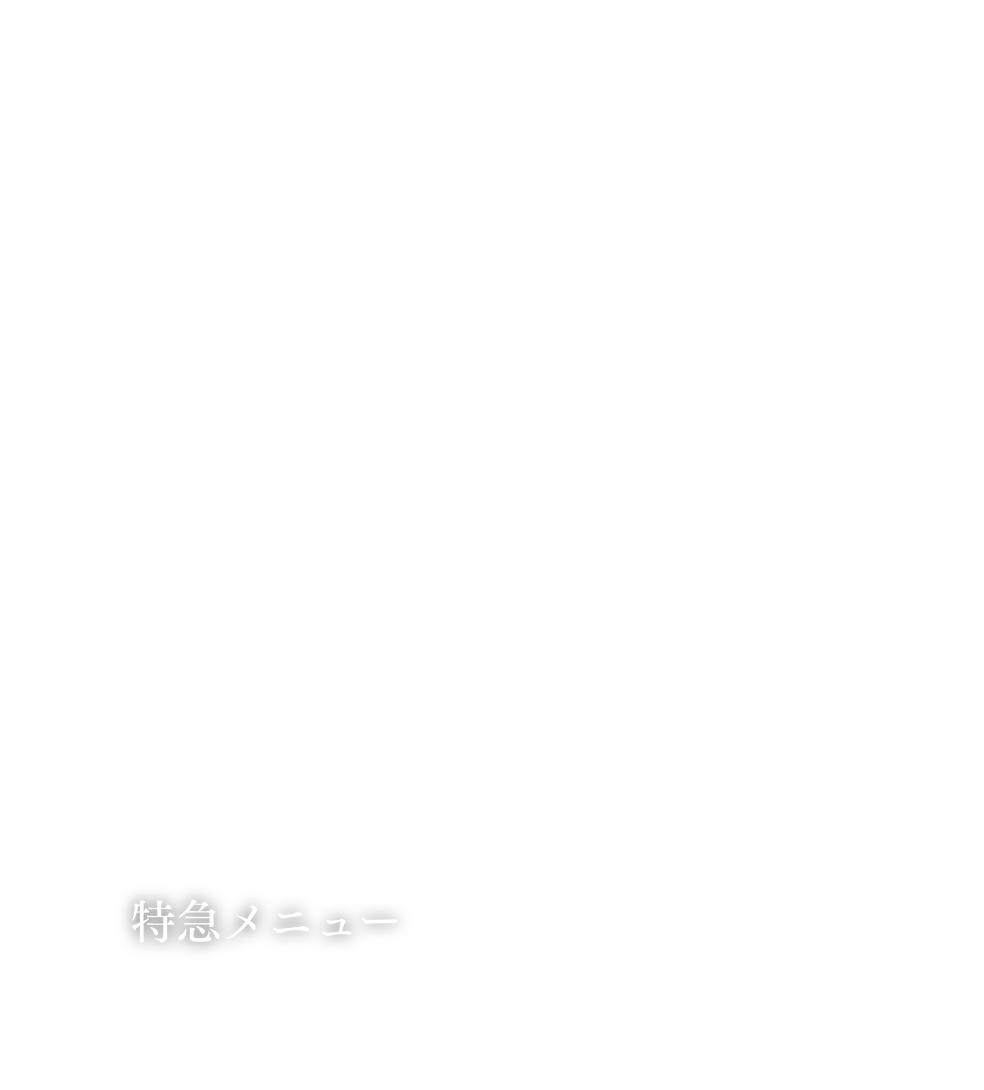 特急メニュー
