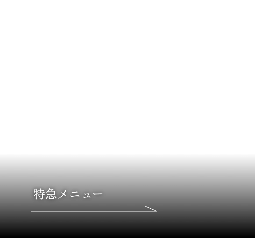 特急メニュー