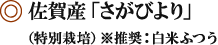 佐賀産「さがびより」（特別栽培）※推奨：白米ふつう