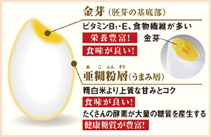 éè½ï¼èè½ã®åºåºé¨ï¼ãã¿ãã³B1ãEãé£ç©ç¹ç¶­ãå¤ããæ é¤è±å¯ï¼ãé£å³ãè¯ãï¼äºç³ç²å±¤ï¼ãã¾ã¿å±¤ï¼ç²¾ç½ç±³ããä¸è³ªãªçã¿ã¨ã³ã¯ãé£å³ãè¯ãï¼ããããã®éµç´ ãå¤§éã®ç³è³ªãç£çãããå¥åº·ç³è³ªãè±å¯ï¼