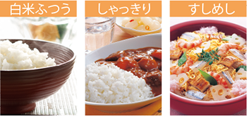 限定商品＞圧力IH炊飯ジャー NP-ZH型｜商品情報｜象印