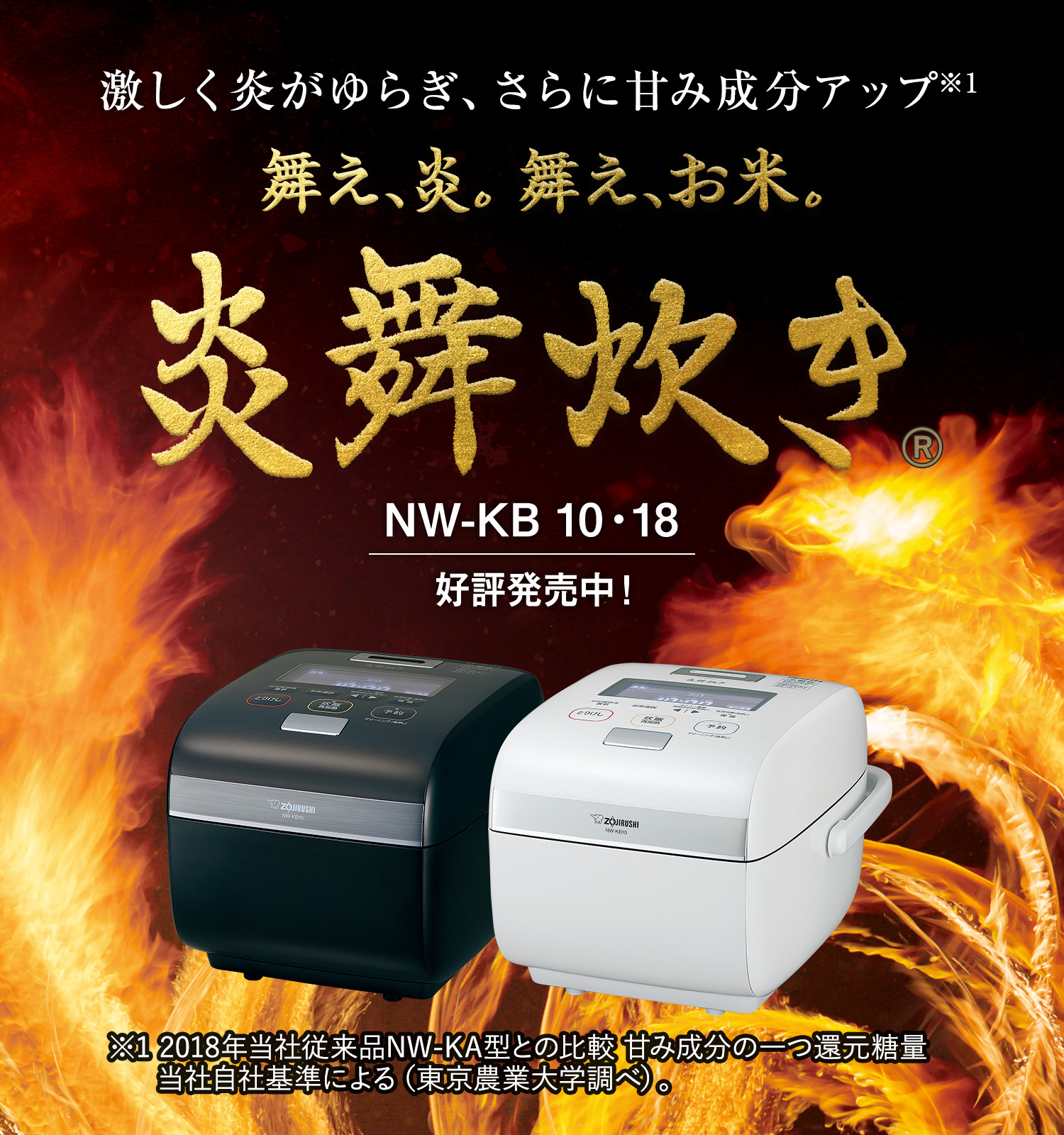 象印 圧力IH炊飯器 NW-KB10 ホワイト 2019年製 炎舞炊き