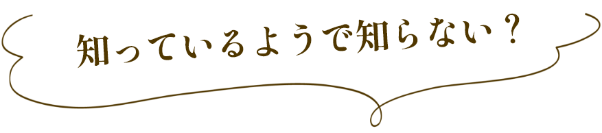 知っているようで知らない?